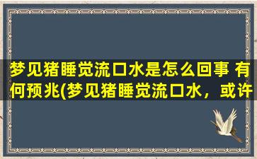 梦见猪睡觉流口水是怎么回事 有何预兆(梦见猪睡觉流口水，或许是财运即将到来)